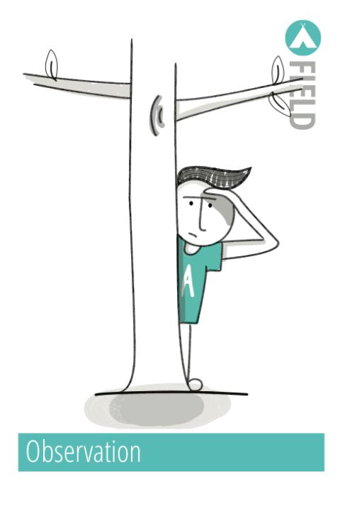 Observation