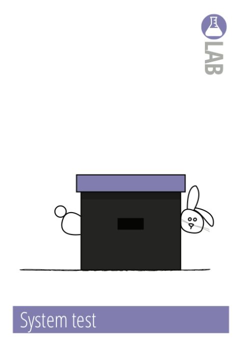 System test